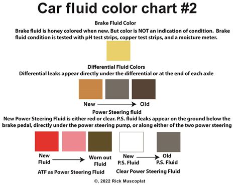 Car Fluid Color Chart: How to Identify Leaks by Color